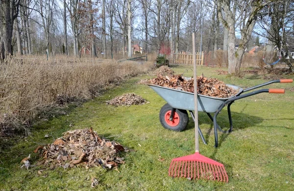 I can help tidy up your gardens