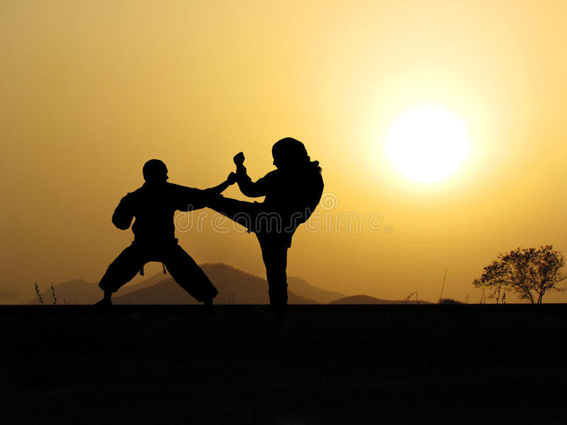 Aikido and self defense lessons